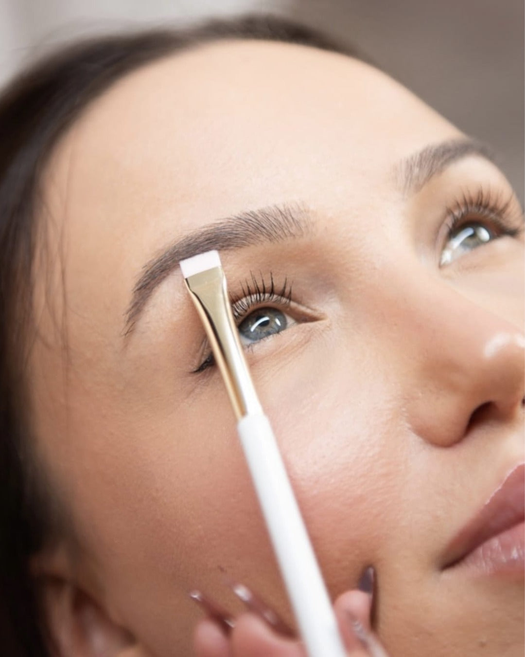 1 Day Online Brow Mastery: Signature Lamination, Waxing & Hybrid Dye + Social Media Course