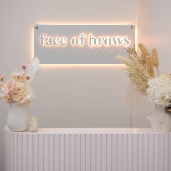 1 Day In-Person Brow Mastery Course