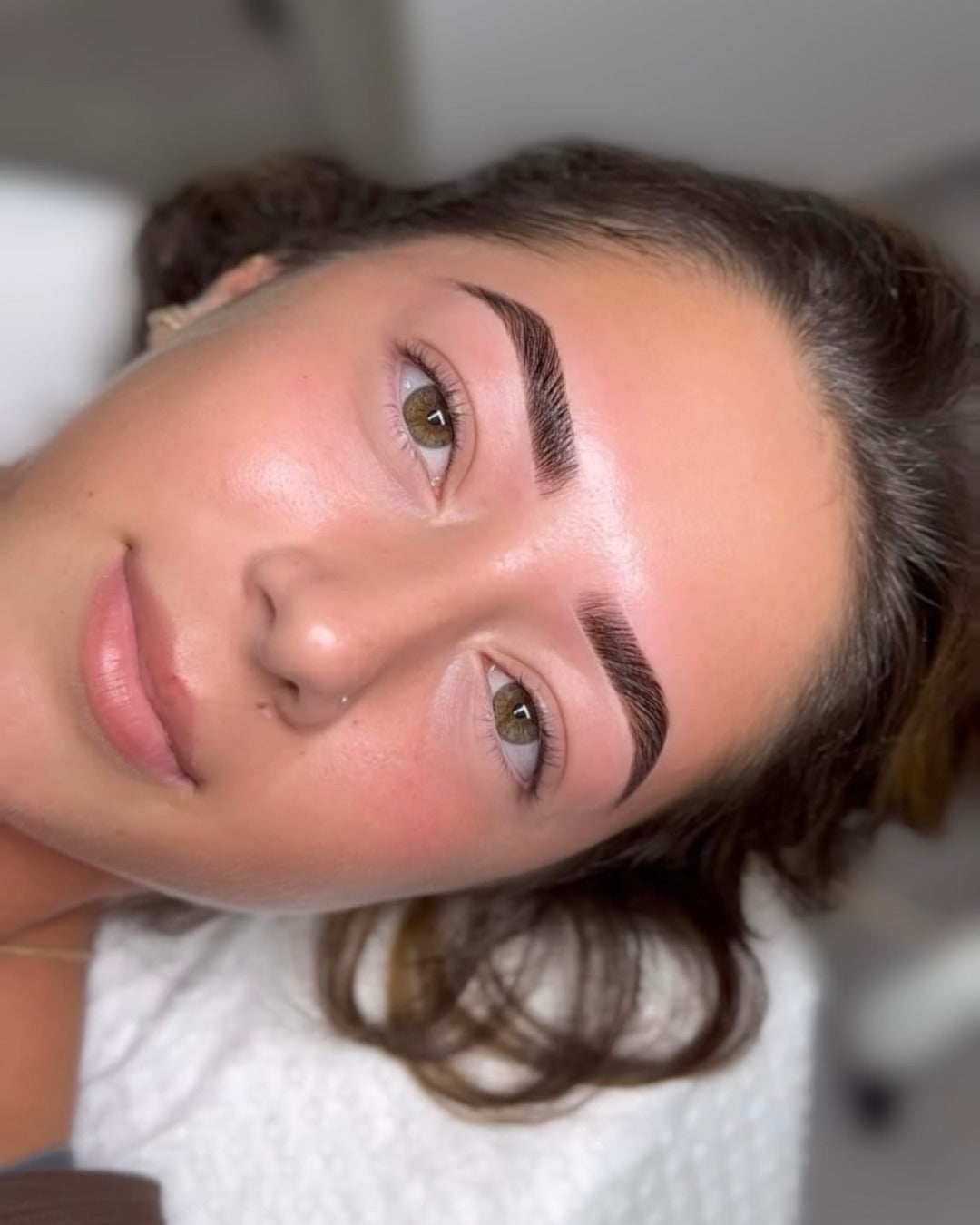 1 Day Online Brow Mastery: Signature Lamination, Waxing & Hybrid Dye + Social Media Course